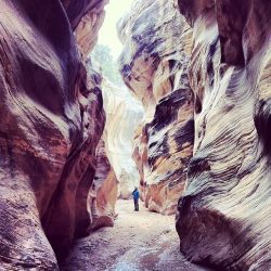 1962663_10203424154265692_1231100577_n